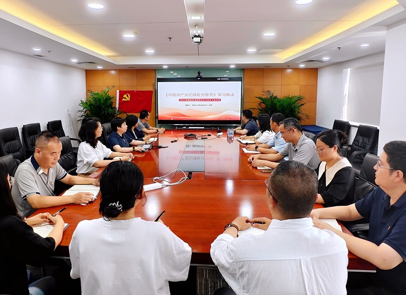 lewin乐玩官网征询有限公司党支部