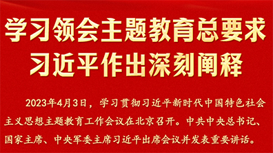 进建领会主题教育总要求习近平做出深刻阐释